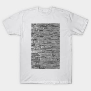 silver stones T-Shirt